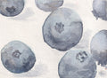 Blueberries