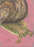 Snail