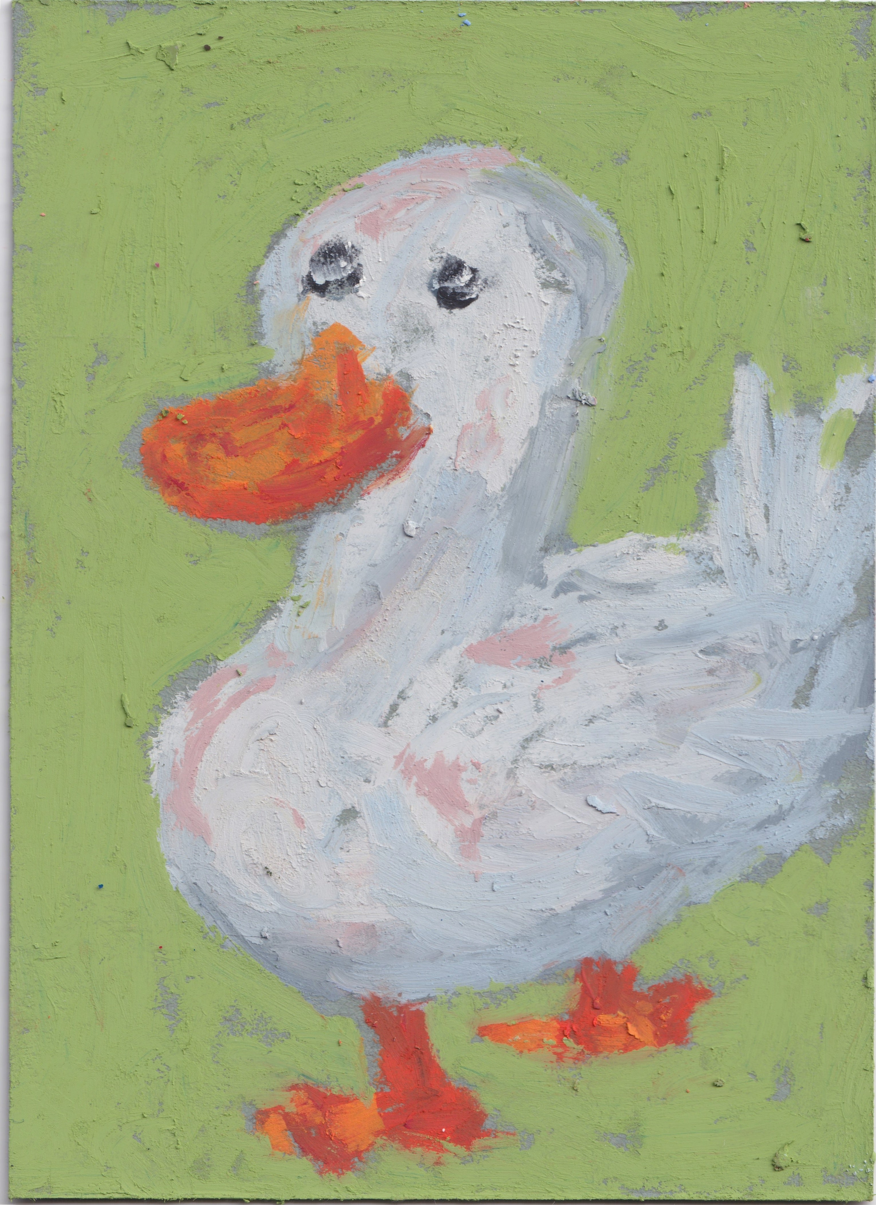 Duck