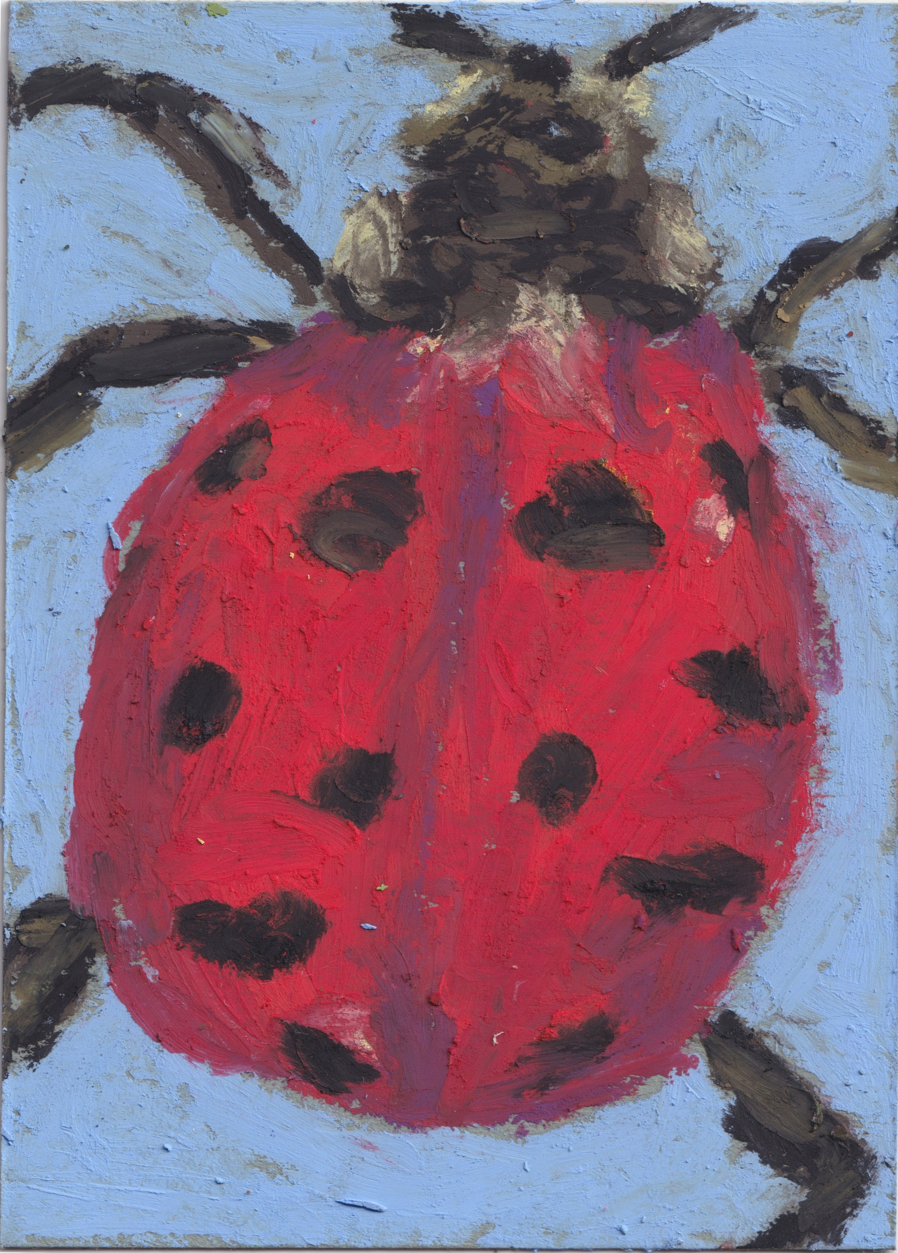 Ladybug No.1