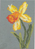 Daffodil