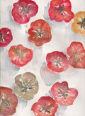 Heirloom
