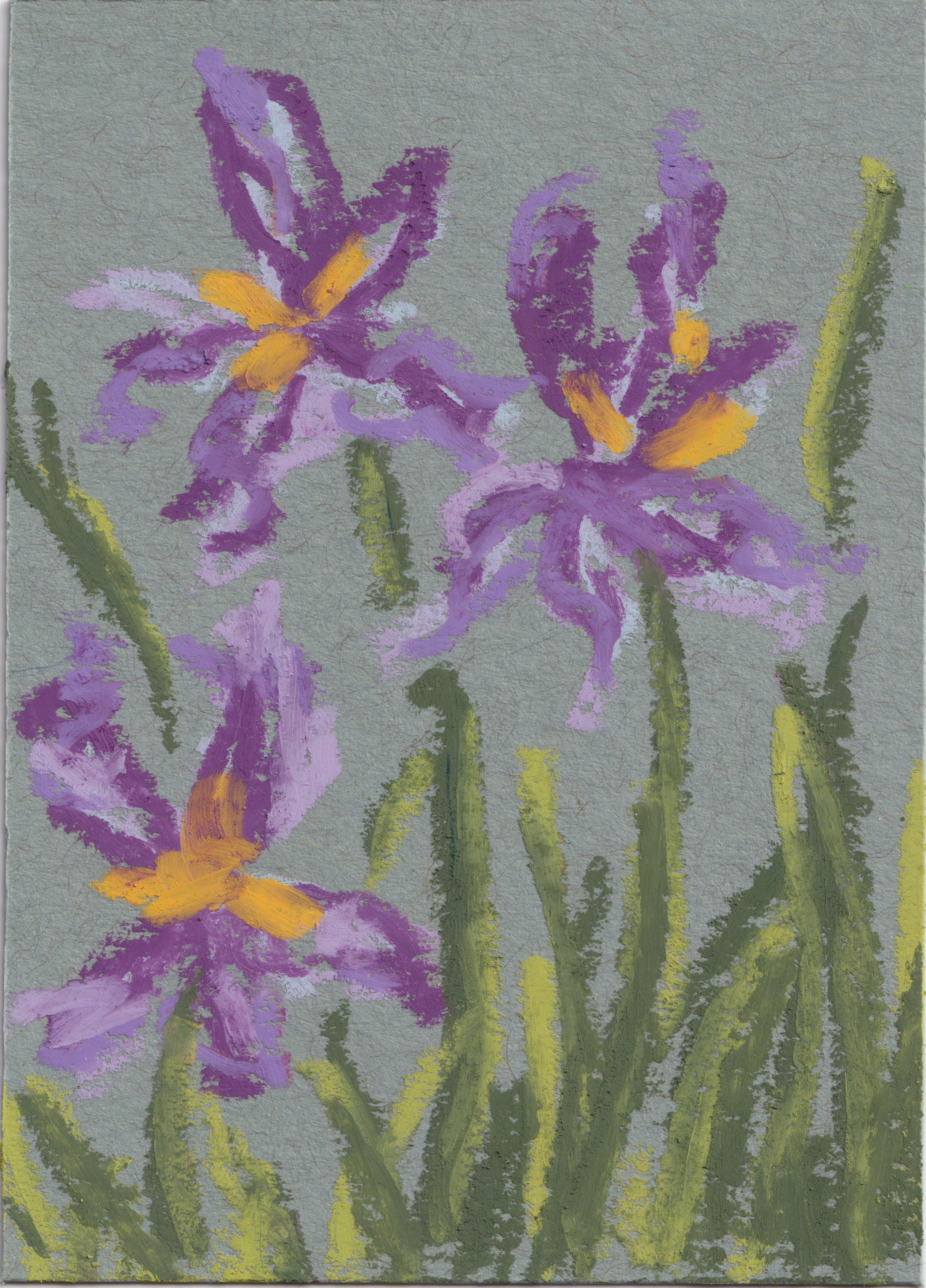 Irises