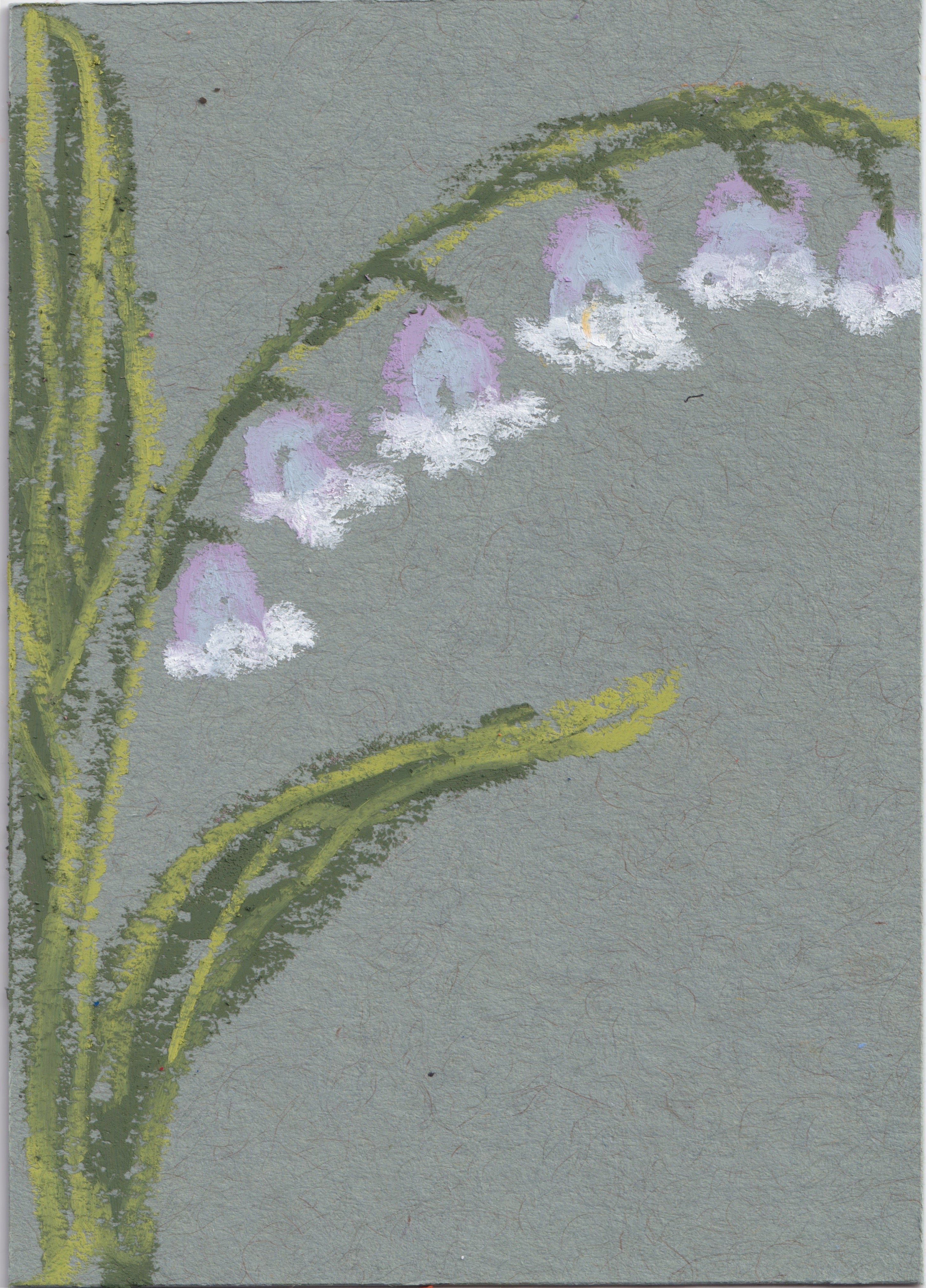 Lily of the Valley