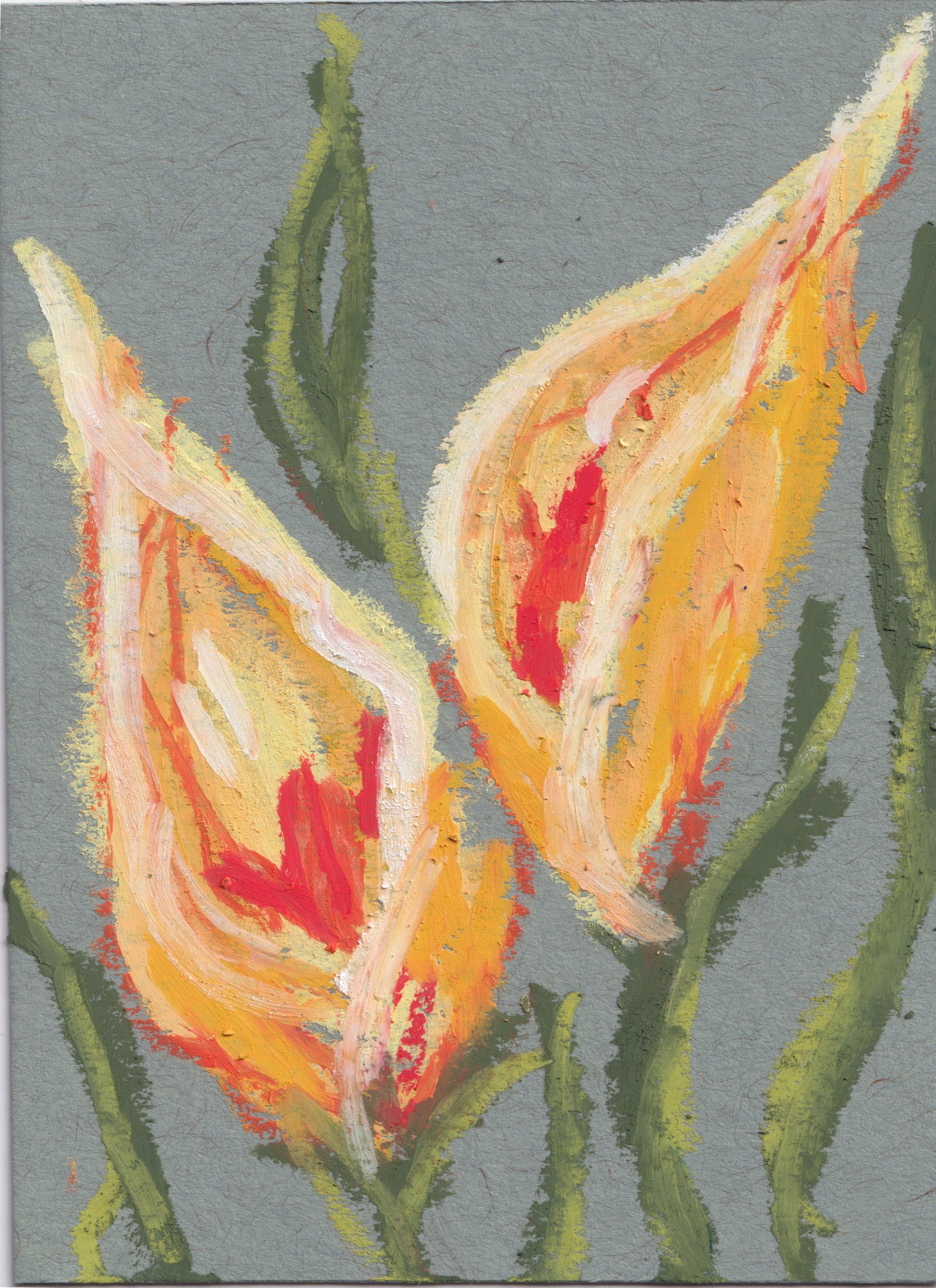 Orange Calla Lillies