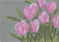 Pink Tulips