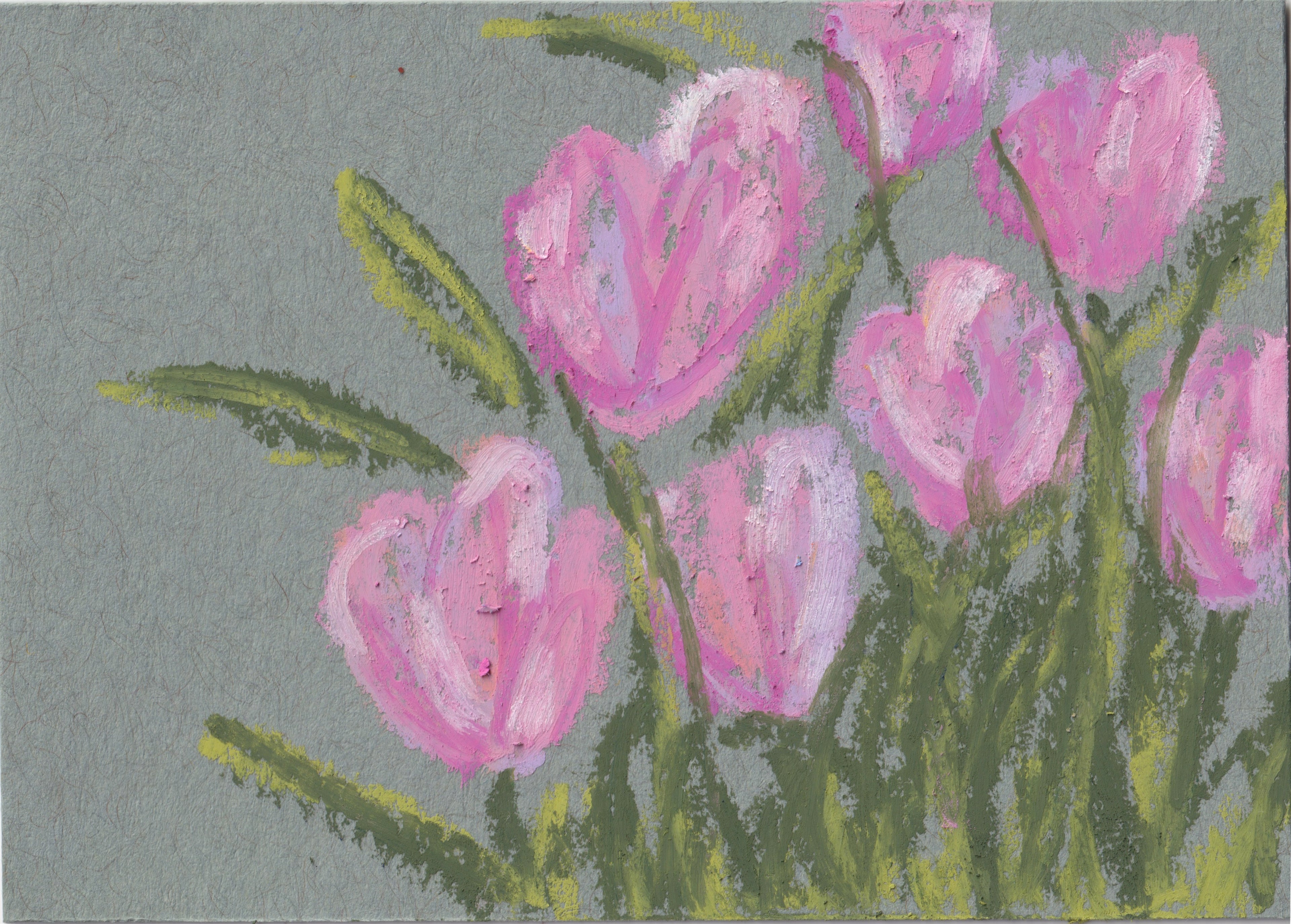 Pink Tulips